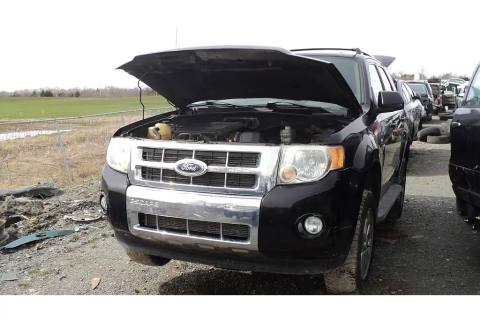 Photo of 2010 Ford Escape