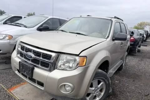 Photo of 2011 Ford Escape