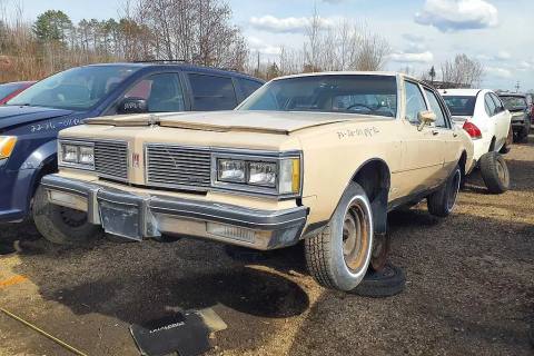 Photo of 1982 Oldsmobile Delta