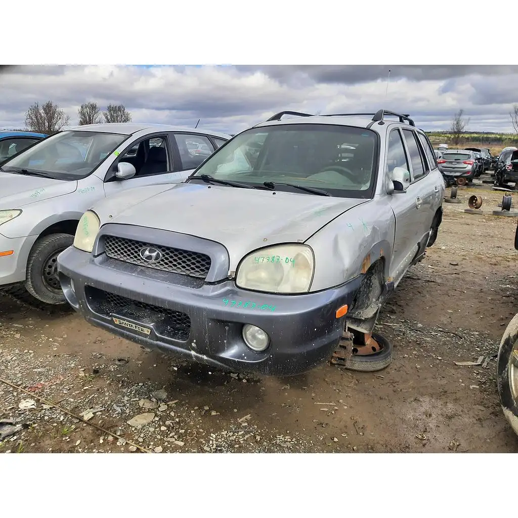 Photo of 2004 Hyundai Santa Fe