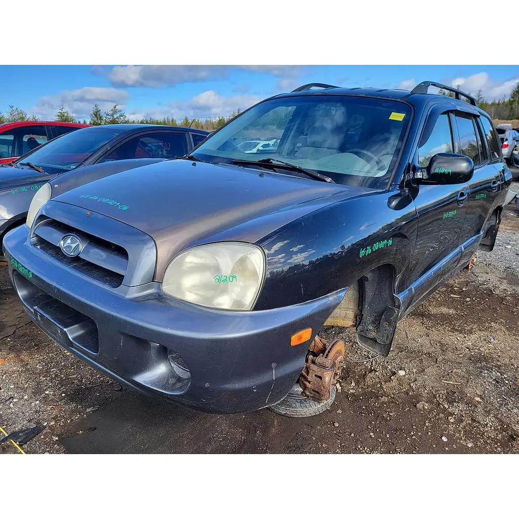 Photo of 2006 Hyundai Santa Fe