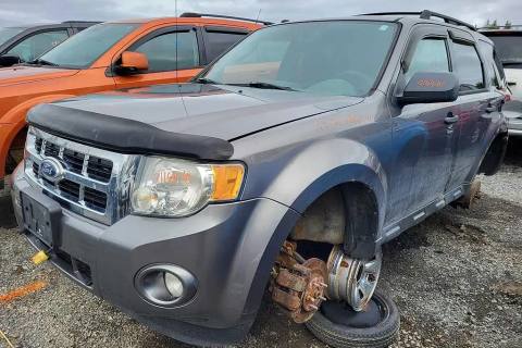 Photo of 2010 Ford Escape