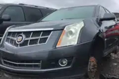 Photo of 2010 General Motors Srx