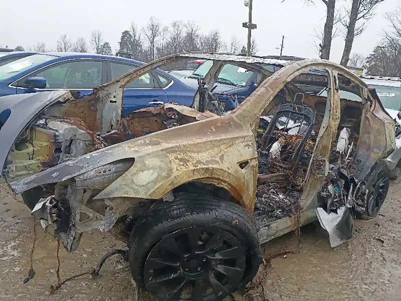 Photo of 2024 Tesla Tesla Model Y