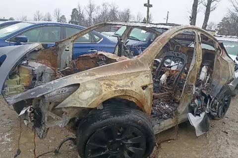 Photo of 2024 Tesla Tesla Model Y