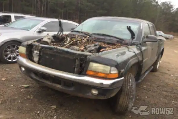 Photo of 2000 Dodge Dakota