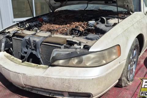 Photo of 1998 Cadillac Seville