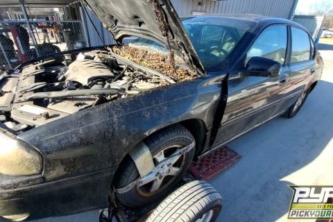 Photo of 2004 Chevrolet Impala