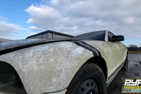 Photo of 2007 Ford Mustang