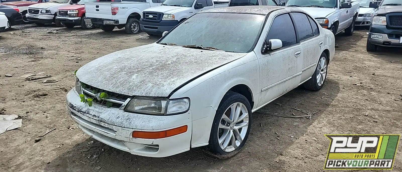 Photo of 1999 Nissan Maxima