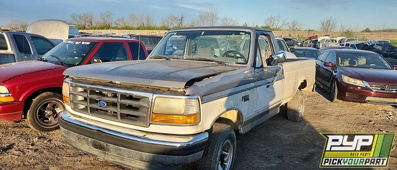 Photo of 1995 Ford F-150