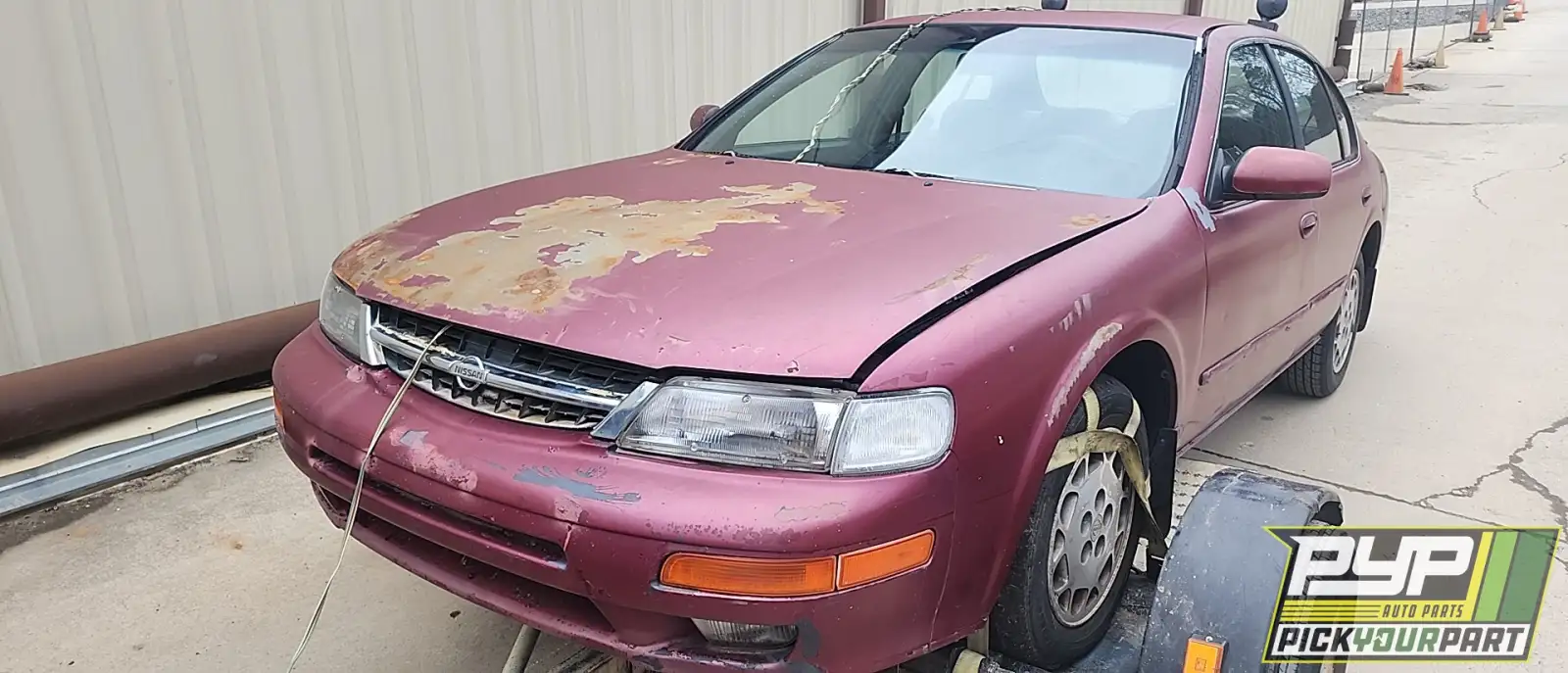 Photo of 1995 Nissan Maxima