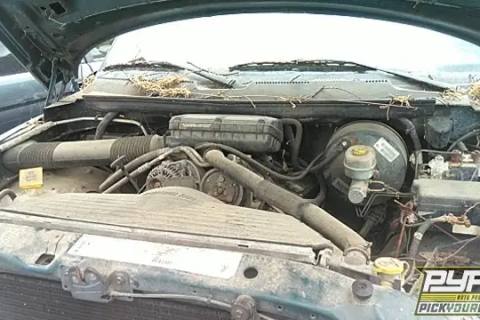 Photo of 1998 Dodge Ram 1500