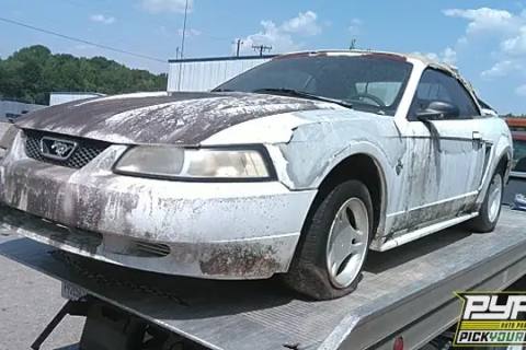 Photo of 1999 Ford Mustang