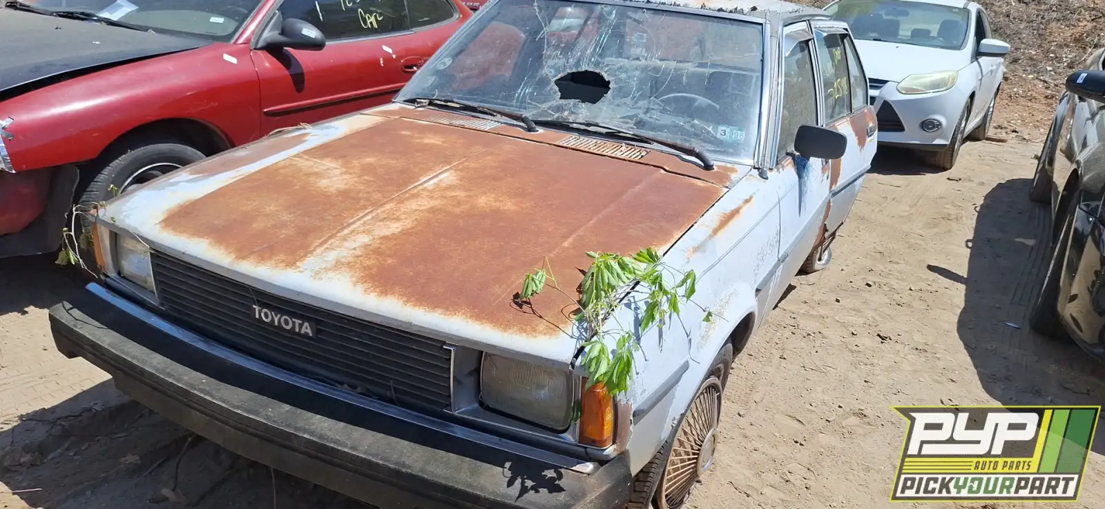 Photo of 1981 Toyota Corolla