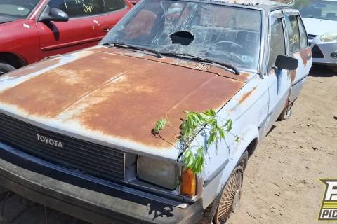 Photo of 1981 Toyota Corolla