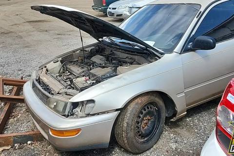 Photo of 1995 Toyota Corolla