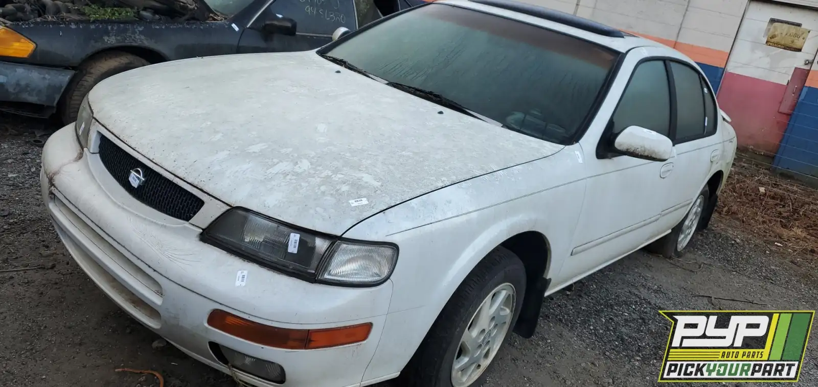 Photo of 1995 Nissan Maxima