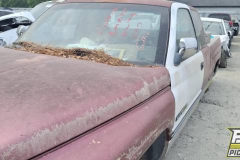 Photo of 1997 Dodge Ram 1500
