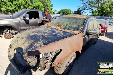 Photo of 2011 Honda Accord