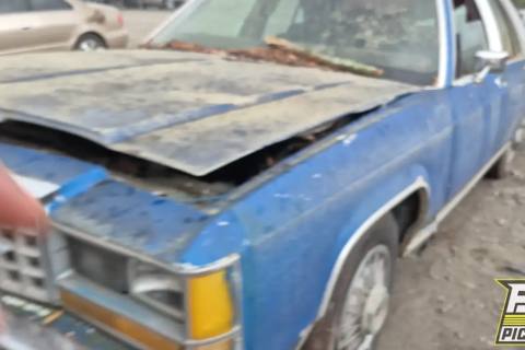 Photo of 1985 Ford Ltd Crown Victoria