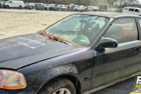 Photo of 1997 Honda Civic