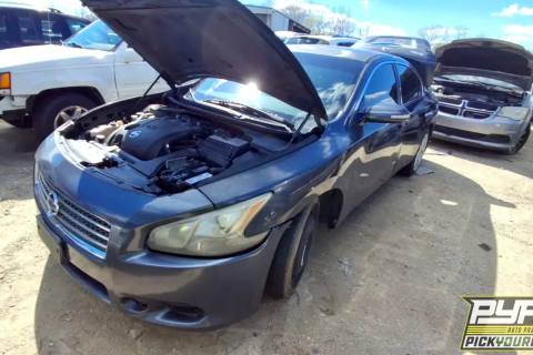 Photo of 2010 Nissan Maxima