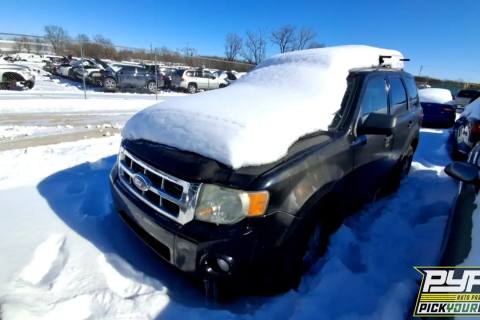 Photo of 2010 Ford Escape