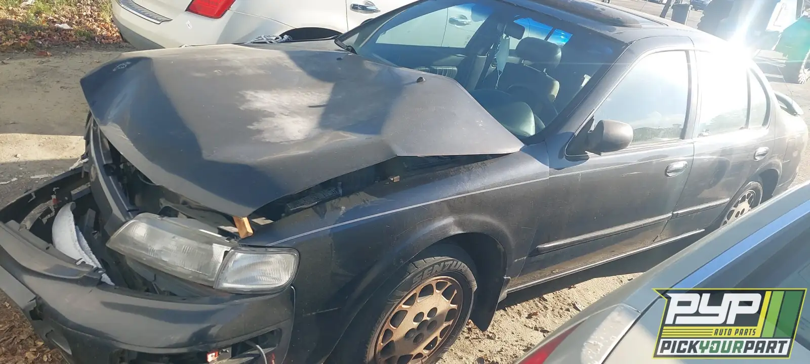 Photo of 1995 Nissan Maxima