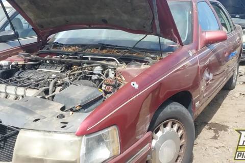 Photo of 1999 Cadillac Deville
