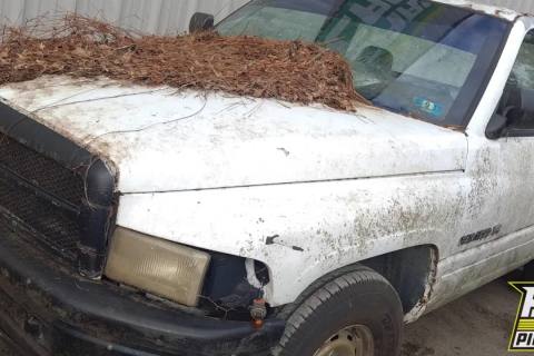 Photo of 1997 Dodge Ram 1500