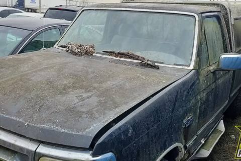 Photo of 1995 Ford F-150