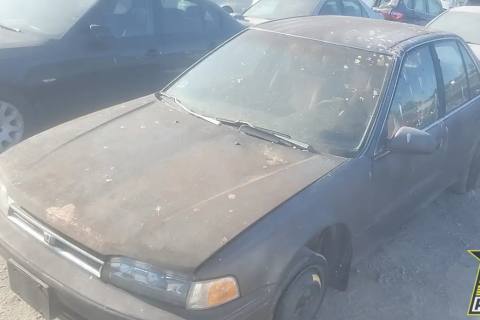 Photo of 1992 Honda Accord