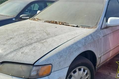 Photo of 1997 Honda Accord
