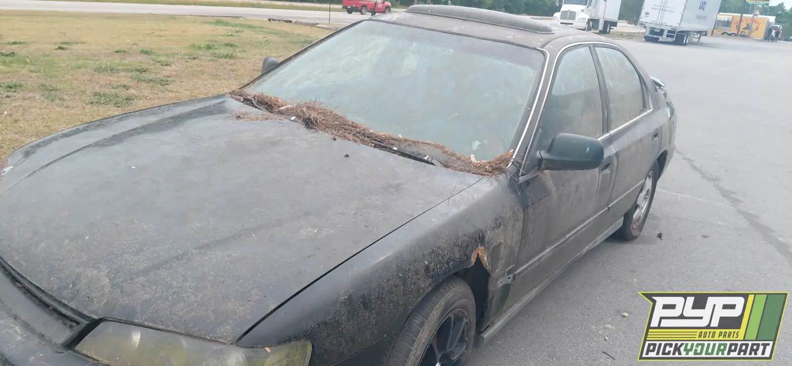 Photo of 1997 Honda Accord