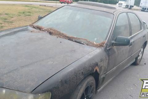 Photo of 1997 Honda Accord