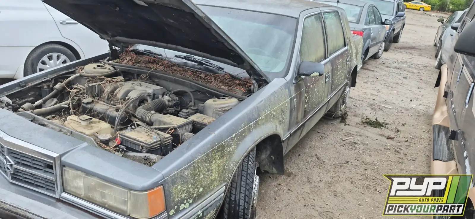 Photo of 1991 Dodge Dynasty