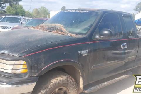 Photo of 1999 Ford F-250