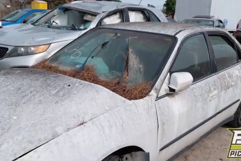 Photo of 1999 Honda Accord