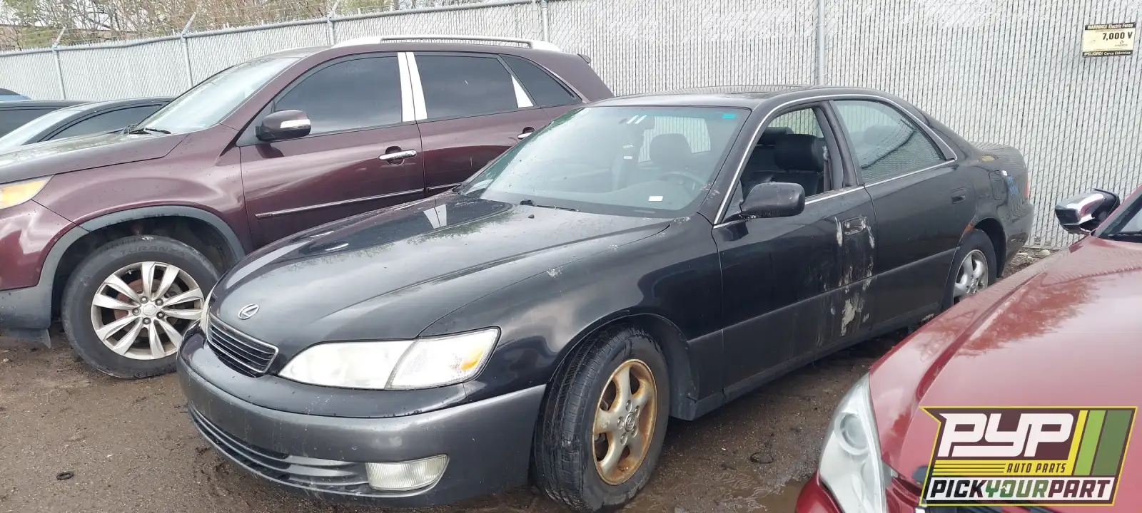 Photo of 1999 Lexus Es300