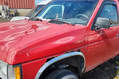 Photo of 1994 Nissan D21