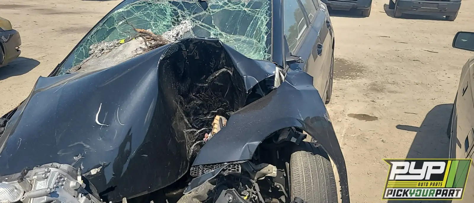 Photo of 2023 Kia Forte