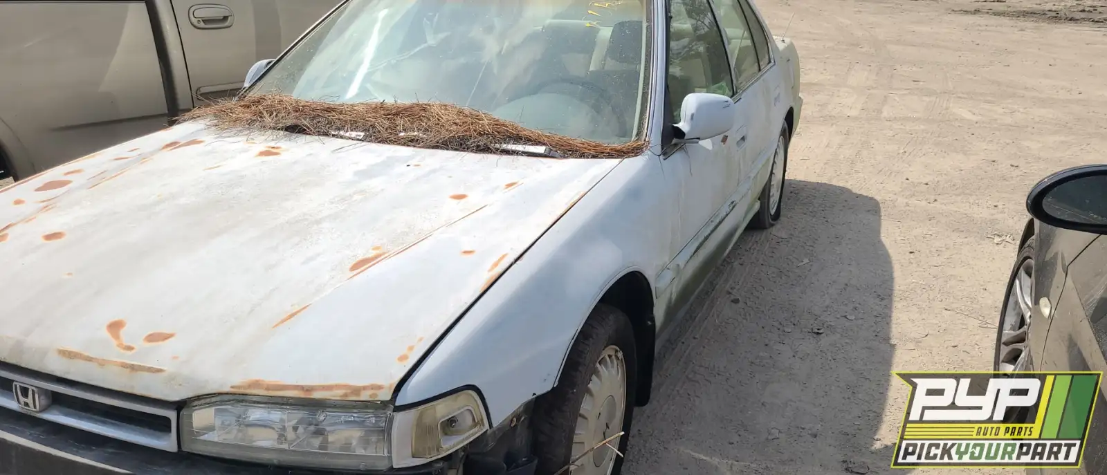 Photo of 1990 Honda Accord