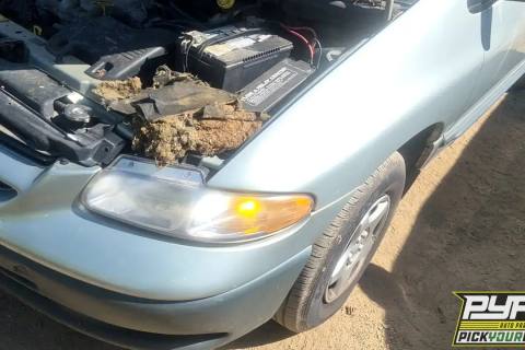 Photo of 2000 Dodge Caravan