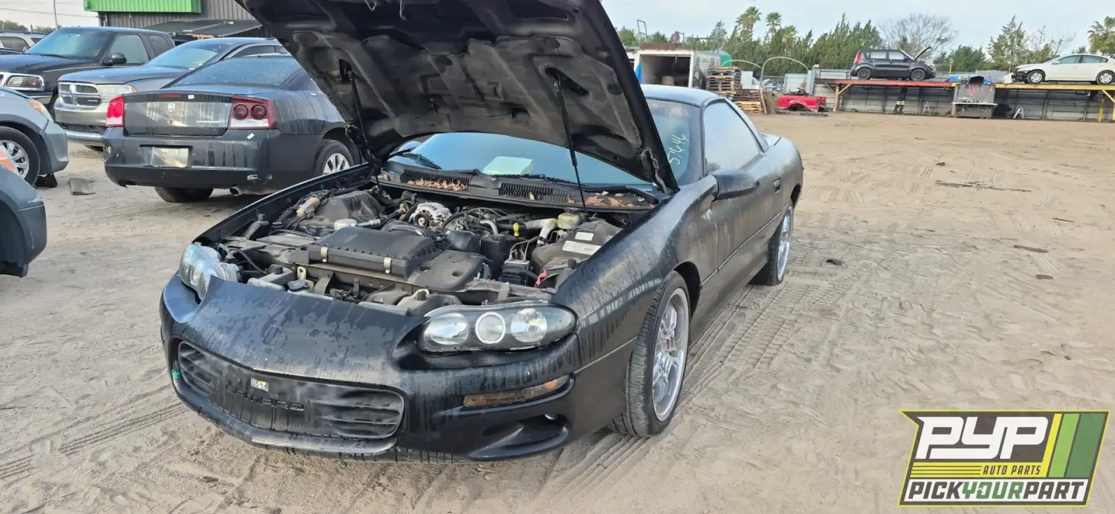 Photo of 1998 Chevrolet Camaro
