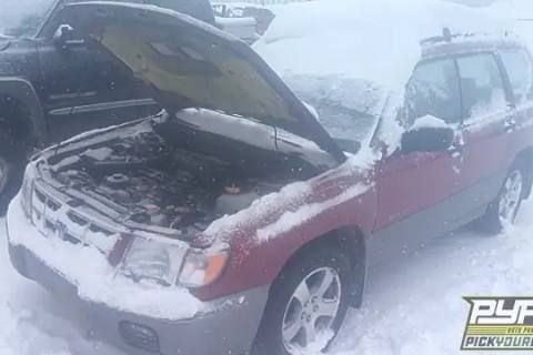 Photo of 1999 Subaru Forester