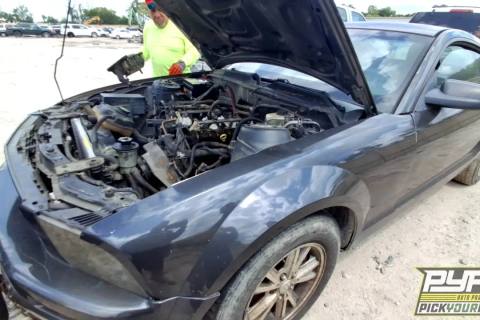 Photo of 2007 Ford Mustang