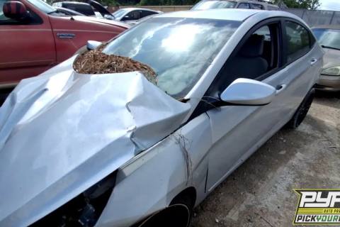 Photo of 2016 Hyundai Accent