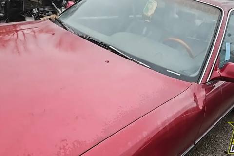 Photo of 1991 Toyota Cressida