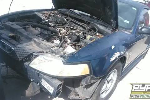 Photo of 1999 Ford Mustang